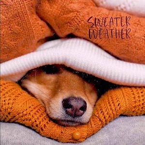 🍁🍂 Sweater weather is on the way! 🍁🍂